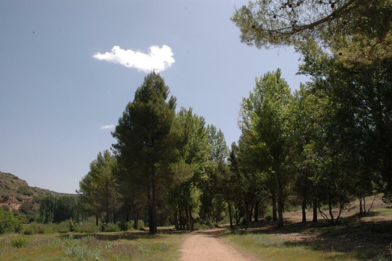 Casa Rural La Ossa 奥萨德蒙铁尔 外观 照片